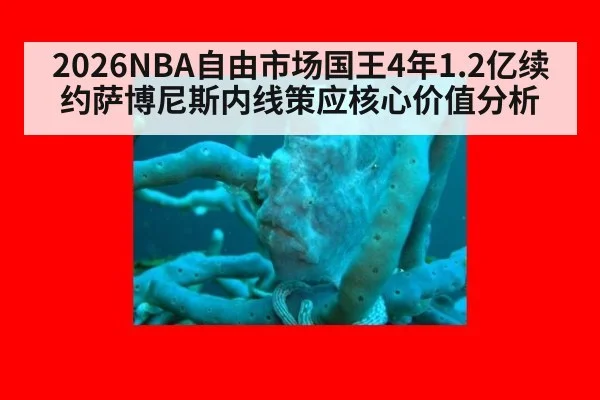 2026NBA自由市场国王4年1.2亿续约萨博尼斯内线策应核心价值分析