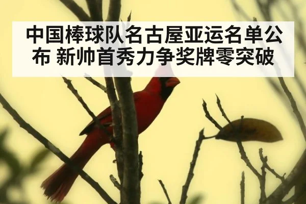 中国棒球队名古屋亚运名单公布 新帅首秀力争奖牌零突破
